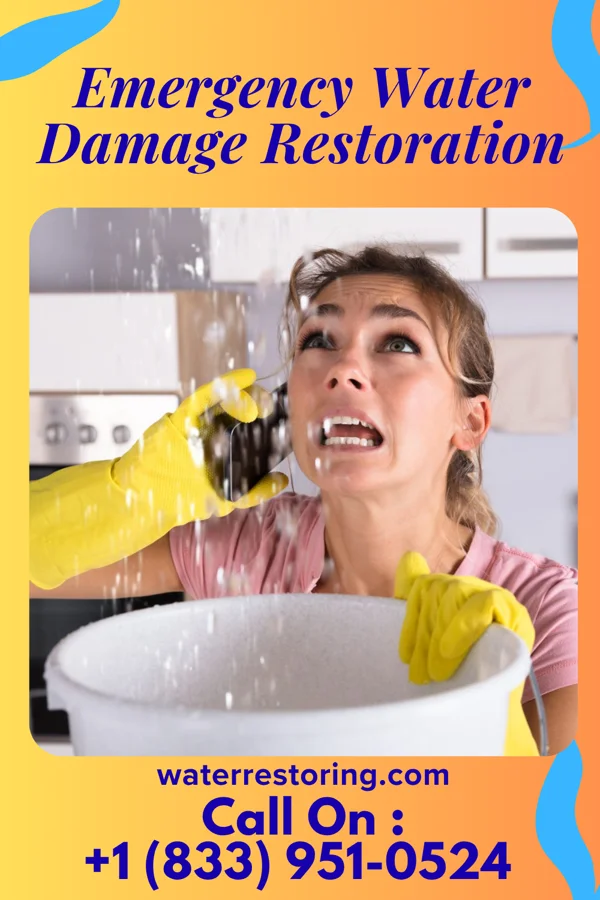 Emergency Water Damage Restoration in Marne, OH
