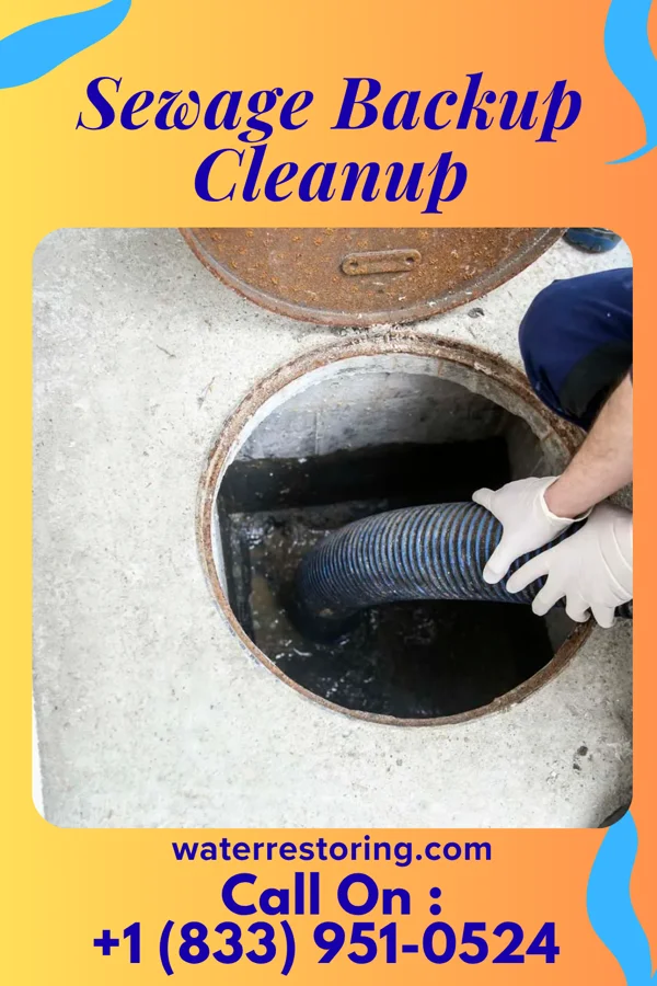 Sewage Backup Cleanup in Marne, OH