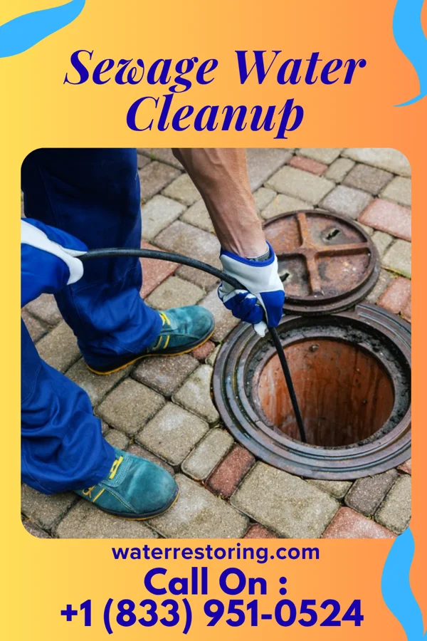 Sewage Water Cleanup in Marne, OH