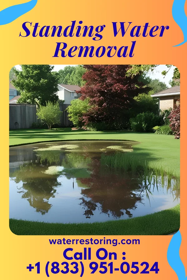 Standing Water Removal in Marne, OH